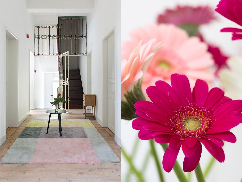 B&B Pastorie Balegem Εξωτερικό φωτογραφία